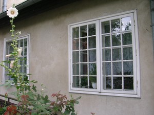 Zdjęcie wykonane przez panią Kazimierę Czaińską przedstawia kwiaty w ogrodzie przed jej mieszkaniem oraz okno jej pokoju w Domu Pomocy Społecznej Jarogniewice