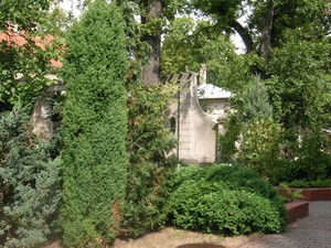 Zdjęcie wykonane przez pana Celestyna Narożnego przedstawia klomb przed budynkiem Siloam w Domu Pomocy Społecznej Jarogniewice