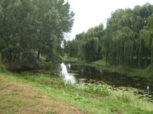 Autor: Maria Musiał, Kościan.  Cypel-Łazienki Miejskie w Kościanie - wdzięczny obiekt fotografowania