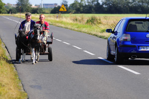 JASIEŃ. Michał Grzelewski hodowca kuców i kóz chce z przyszłą żoną Darią Mańczak  zbudować gospodarstwo agroturystyczne. Michałowi pomaga sąsiad Kazimierz Szymanowski