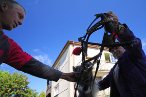 JASIEŃ. Michał Grzelewski hodowca kuców i kóz chce z przyszłą żoną Darią Mańczak  zbudować gospodarstwo agroturystyczne. Michałowi pomaga sąsiad Kazimierz Szymanowski