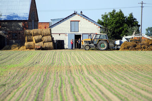 Okolice leśniczówki Turew 