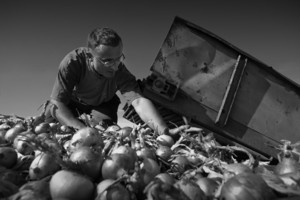 Nacław, gmina Kościan.