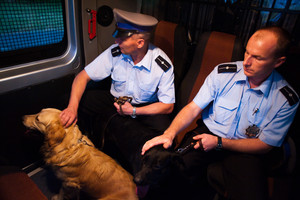 Kościan, rejon ul Chłapowskiego, po godz. 18:00. Policja otrzymała zgłoszenie o bezpańskich psach zaczepiających ludzi. Dzielnicowi: mł asp. Andrzej Piechowiak i mł. asp. Damian Słoma odwożą psy zostały do komendy, gdzie przekażą je pracownikowi urzędu miejskiego.