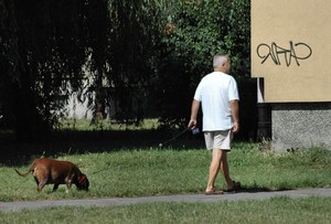 Kościan, godz. 13,04 os Jagiellońskie, spacer z pieskiem