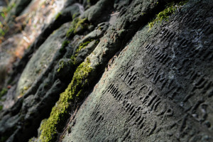 Opuszczony przez żywych cmentarz ewangelicki w Śmiglu.