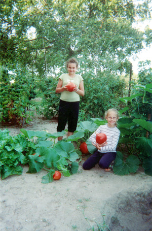 Maronki - zwane również Dyniami Chin z hodowli Aleksandry Miłakowskiej – promotorki tego warzywa na Ziemi Kościańskiej. 
