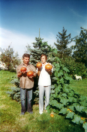 Maronki - zwane również Dyniami Chin z hodowli Aleksandry Miłakowskiej – promotorki tego warzywa na Ziemi Kościańskiej. 