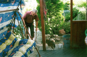 Fot. Roksana Majorczyk. Mój dziadek Henryk podczas prac w ogrodzie przy ul. Nowowiejskiego w Kościanie. 