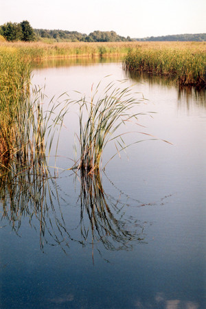 Fot. Zbigniew Przydróżny. Okolice Wonieścia