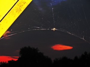 Fot. Joanna Pluta (z Koła FOTO-WIDEO działającego przy Gimnazjum im. Jana Pawła II w Starych Oborzyskach) Pająk o zachodzie słońca na moście żelaznym w Kiełczewie
