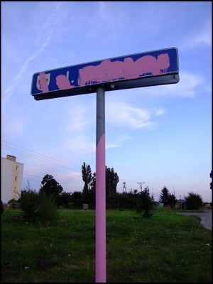 NOWY LEPSZY ŚWIAT. Autor: Łukasz Wojciak. Zdjęcie wykonane na ul. Wiśniowej, przedstawia pomalowany na 