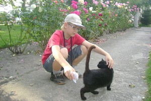 Autor: Dorota Borowiak. Zdjęcie przedstawia mojego syna Piotra bawiącego się z kotką Zośką. Zdjęcie zrobiono przy ośrodku szkoleniowym w Gierłachowie.