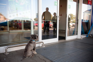 Hipermarket Tesco ul. Śmigielska 53 A czynny w niedziele w godzinach 6-24
