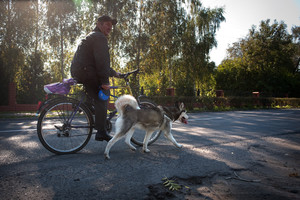 Czempiń. Popołudnie – „spacer z psem” powrót z pobliskiego marketu