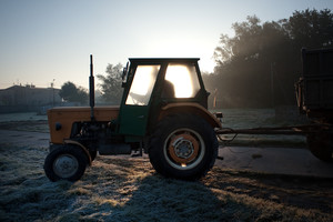 Stare Tarnowo. Mroźny słoneczny poranek.
