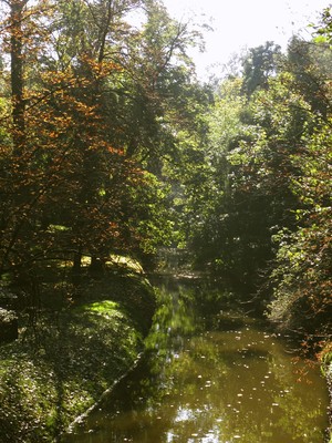Kościan - widok na kanał Obry od strony ul. Nadobrzańskiej. fot. Julia Tycner