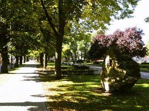 Kościan - Plac Wolności w południe. fot. Julia Tyncer