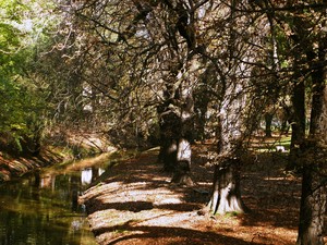 Kościan - widok na kanał Obry z mostu na ul. Strzeleckiej. fot. Julia Tycner