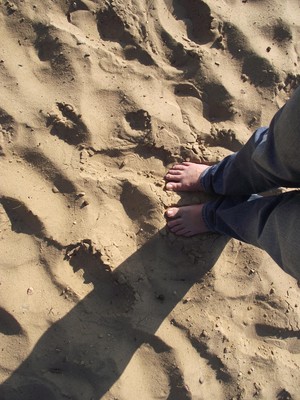 JOANNA KRETSCHMER - Dębiec Nowy - plaża w październiku