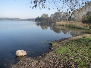 Wojciech Szymajda - zdjęcie zrobione na porannym spacerze z psem -  jezioro  w Żelaznie 