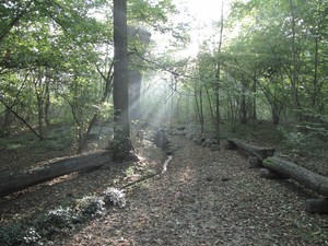 Wojciech Szymajda - zdjęcie zrobione na porannym spacerze z psem -  źródełko św. Bernarda w Lubiniu
