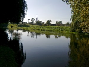 Mateusz Kowalski - rozwidlenie Obry w okolicy mostu na ul. Łąkowej. Fotografie wykonałem podczas przedpołudniowego spaceru.