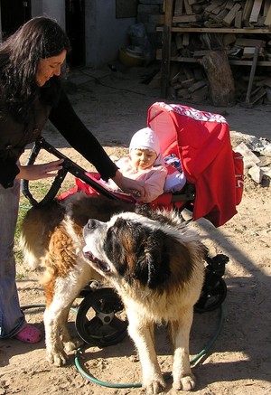 KAROL MIKOŁAJCZAK - NICOLA Z MAMĄ I PIESKIEM NA SPACERKU KOLO DOMU-KIEŁCZEWO