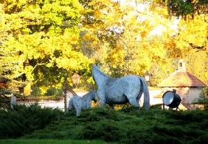 Ewelina Kąkolewska - racockie koniki obserwują bramę wjazdową