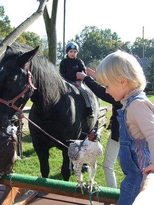 Malwina Wizerkaniuk -Główną atrakcją dla gości, odwiedzających Skansen Filmowy Soplicowo w Cichowie (gmina Krzywiń), prócz wspaniałej kuchni, była niczym nieskrępowana możliwość obcowania z dzikimi i gospodarskimi zwierzętami. Nad zachowaniem prawidłowych ludzko-zwierzęcych relacji, co jest związane z szeroko pojętym bezpieczeństwem, czuwał Samiec AlFA, dominator stada i Podkomorzy  na Soplicowie w jednej osobie - Marek Pinkowski. Dla potomności utrwaliłam kilka obrazków, tym samym biorąc udział w projekcie PKS.