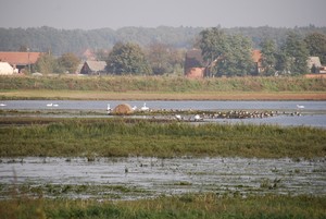 Sławomir Ostrowski - Zalane łąki w okolicy Jurkowa. 