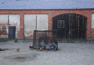 Gdzieś w gminie Krzywiń