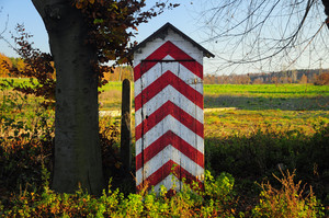 Gdzieś w gminie Krzywiń...