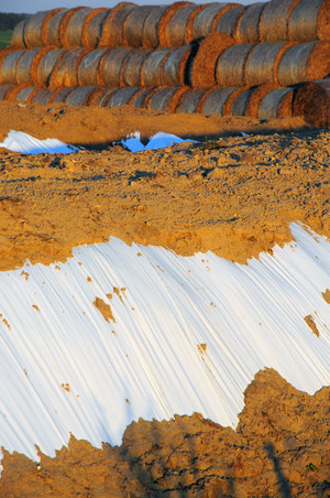 Gdzieś w gminie Krzywiń...