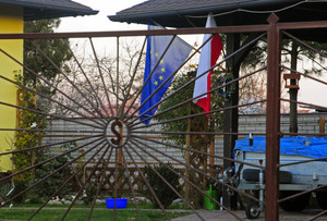 Gdzieś w gminie Krzywiń...