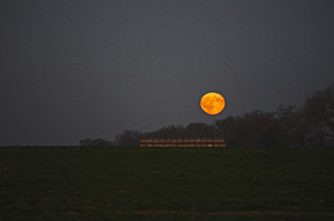 Gdzieś w gminie Krzywiń...