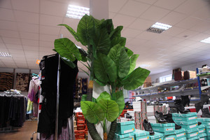 W święto czynne jest tylko chińskie centrum handlowe 