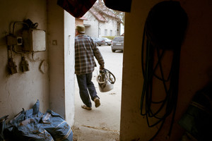Idziemy karmić zwierzęta. Wchodząc do obory widzę koty, dużo kotów. Zaskakuje mnie ich ilość. Przewodniczący mówi, ze jest ich około 14. Wiedza doskonale, ze nadchodzi czas uczty, ponieważ wraz z pojawieniem się gospodarza rosną szanse na świeże mleko. Pora karmienia cieszy nie tylko koty, ale i pozostała cześć inwentarza.