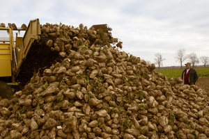 Na twarzy przewodniczącego rysuje sie radosny uśmiech. Bierze kartonowe rury i znaczy trasę kombajnowi, sypia sie pierwsze buraki.