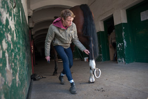 tadnina Koni Racot –   w stajni spotykam Macieja i Martę ,również  w świąteczny  poranek konie wymagają codziennej opieki 