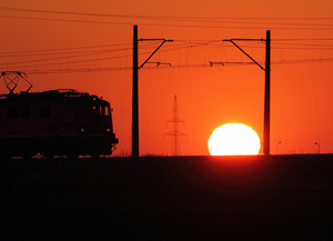 Fot. Zbigniew Przydróżny. 