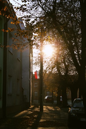Julia Tycner - widok na część ulicy Mickiewicza, zdjęcie zrobione podczas powrotu do domu z uroczystości na Rynku