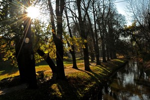 Joanna Pluta. Zdjęcie spacerowych terenów nad Obrą w Kościanie. Autorka jest uczestniczką Koła FOTO-WIDEO przy Gimnazjum im. Jana Pawła II w Starych Oborzyskach. Opiekunem koła jest Barbara Zaborska.