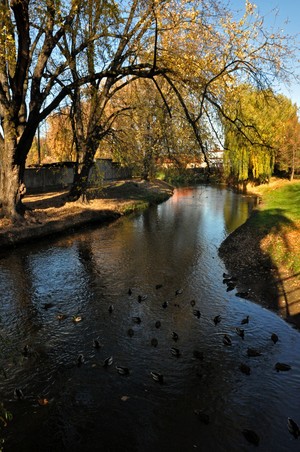 Joanna Pluta. Zdjęcie spacerowych terenów nad Obrą w Kościanie - dokarmianie kaczek. Autorka jest uczestniczką Koła FOTO-WIDEO przy Gimnazjum im. Jana Pawła II w Starych Oborzyskach. Opiekunem koła jest Barbara Zaborska.