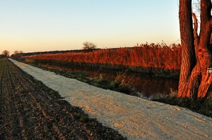 Joanna Pluta. Malowniczy pejzaż Kiełczewa. Autorka jest uczestniczką Koła FOTO-WIDEO przy Gimnazjum im. Jana Pawła II w Starych Oborzyskach. Opiekunem koła jest Barbara Zaborska.
