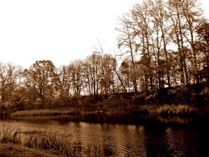  Fot. Patrycja Żur. Zdjęcie wykonane w Kokorzynie. Autorka jest uczestniczką Koła FOTO-WIDEO przy Gimnazjum im. Jana Pawła II w Starych Oborzyskach. Opiekunem koła jest Barbara Zaborska.