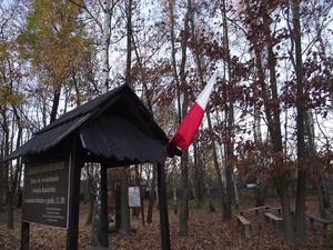 Fot. Joanna Kretschmer. Dębiec Nowy, Kościół Polowy