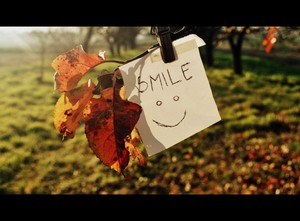 Fot. Karolina Starowicz z kl.2ag Zespół Szkół w Krzywiniu. Na zdjęciu widoczne są liście oraz kartka z napisem 