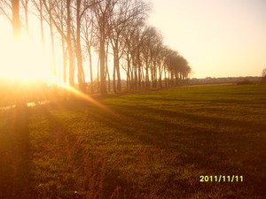 Fot. Michalina Kmieciak ze Świńca (kl.1bg Zespół Szkół w Krzywiniu). Magiczny zachód słońca w Świńcu.