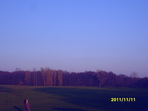 Fot. Michalina Kmieciak ze Świńca (kl.1bg Zespół Szkół w Krzywiniu). Moja koleżanka Majka na polu, rzuca liście. Zdjęcie zrobione w Świńcu.